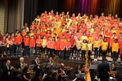 Bärenmatte Suhr Sa, 30.11., 19h